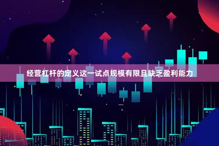 经营杠杆的定义这一试点规模有限且缺乏盈利能力